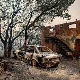 Tote und mindestens 130 Verletzte bei andauernden Waldbraenden in Portugal