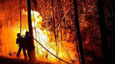 Waldbraende wueten im Suedwesten Frankreichs 1500 Hektar verbrannten
