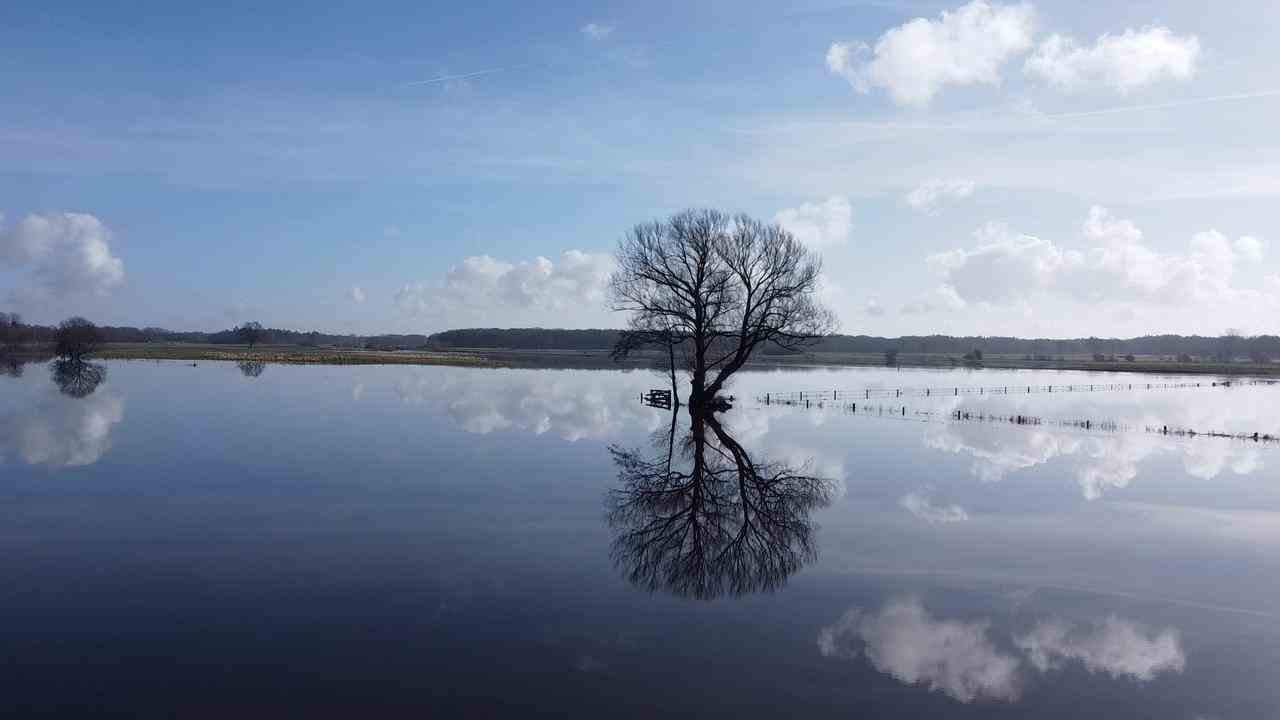 Überschwemmte Ufer der Overijsselse Vecht im Februar dieses Jahres.  Knapp zwei Tage später war das gesamte Wasser wieder abgelassen, sodass es dem Grundwasser kaum zugute kam.