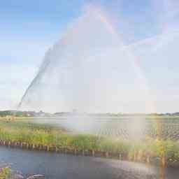 Der Wasserverband Vallei en Veluwe ergreift aufgrund der Duerre zusaetzliche
