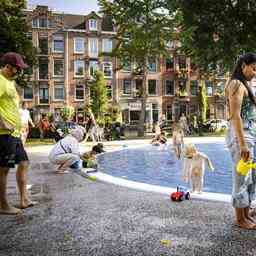 Die Niederlande bekommen immer mehr Urlaub „Wir modernisieren JETZT