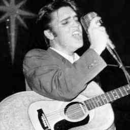 Elvis Presleys Schmuck und Gitarrenkollektion wird Ende August versteigert
