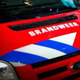 Feuerwehr holt veraengstigte Katze vom Dach in Zuidland JETZT