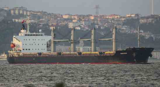 Kiew und Moskau streiten um Kernkraftwerk Getreideschiffe setzen Segel