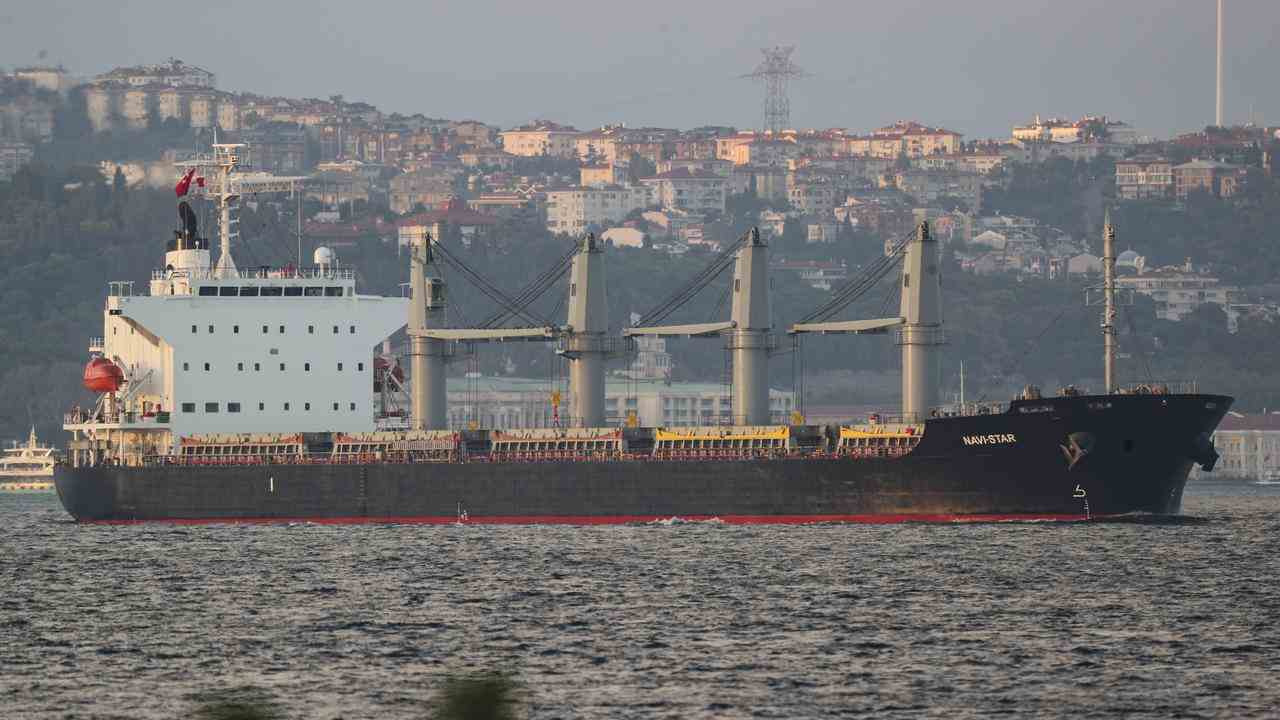 Ein Schiff mit ukrainischem Getreide segelt durch den Bosporus.