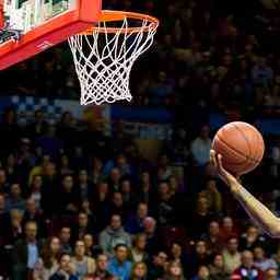 Team Donar komplett mit Vernon Taylor JETZT