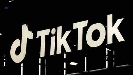 TikTok Challenge loest zuegellosen Autodiebstahl aus — World