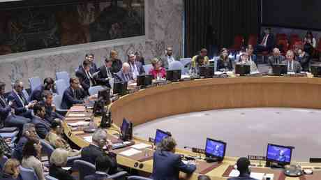 Tuerkischer Beamter fordert Reform des UN Sicherheitsrates — World