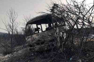 „Feuertornado Waldbraende in Algerien toeten 38