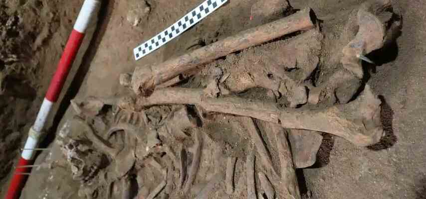 31000 Jahre altes Skelett beweist dass Menschen viel frueher operierten