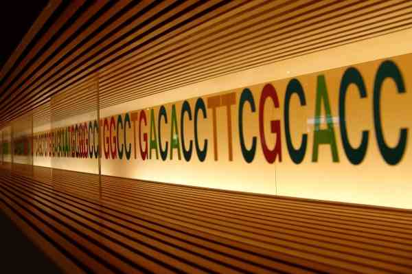 Das synthetische DNA Startup Catalog arbeitet mit Seagate fuer seine DNA basierte