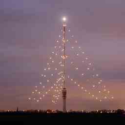 Energiekrise hin oder her Der groesste Weihnachtsbaum wird wieder strahlen