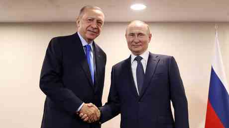 Erdogan stellt sich bei den Getreideexporten der Ukraine auf Putins