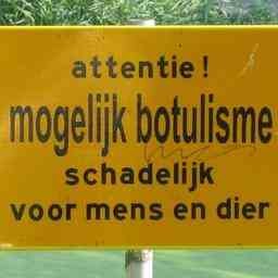 Gemeinde warnt vor Botulismus im Oosterpark JETZT