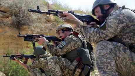 Grossbritannien verstaerkt Training fuer ukrainisches Militaer – Sky News —