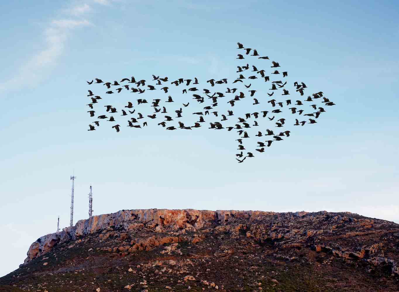Vogelschwarm, der in Pfeilformation über einem Hügel mit einigen Kommunikations- und Handymasten fliegt.