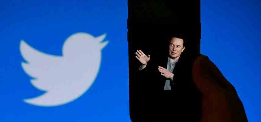 Elon Musks Twitter verspricht mehr Raum fuer Meinungen und weniger