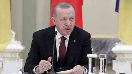 Erdogan skizziert Tuerkiyes Gas Ambitionen — World