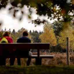 Warmes Wetter sorgt wahrscheinlich dafuer dass die Blaetter ihre Herbstfarbe