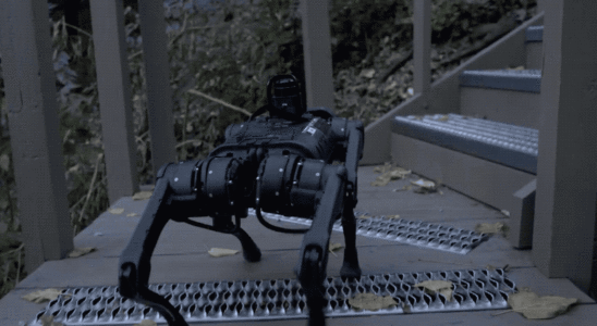 Dieser Roboterhund kann ueber nahezu jedes Gelaende laufen • Tech