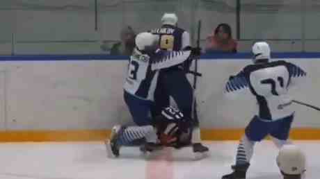 Eishockeyspieler nach brutalem Angriff auf Schiedsrichter gesperrt VIDEO — Sport