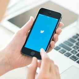 Gemeinde bittet Twitter „offiziellen Twitter Account zu schliessen Den Bosch