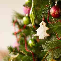 Kuenstliche Weihnachtsbaeume durch Transportkosten teurer Preis fuer gewoehnlichen Baum steigt
