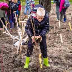 Montessori Schule feiert Baumfest mit Bau eines Speisewaldes Breda