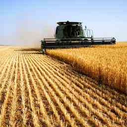 Russland steigt aus dem Getreidedeal aus Was bedeutet das