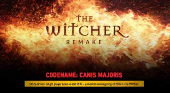 The Witcher 1 Remake wird Open World sein sagt CDPR