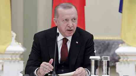 Tuerkischer Flugbetrieb „erst der Anfang – Erdogan — World