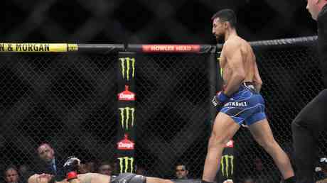 UFC Legende erleidet boesartigen Knockout im letzten Karrierekampf VIDEO — Sport