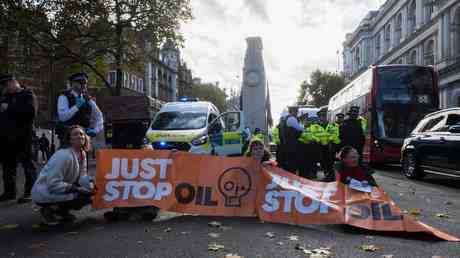 „Just Stop Oil Aktivisten in Downing Street 10 festgenommen – World