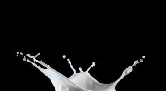 Die Zukunft der Milch ist … Milch • Tech