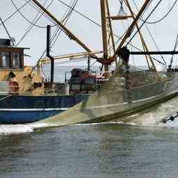 Garnelenfischer justieren Netze in der Hoffnung vermisste Personen in der