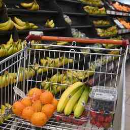 Kostenloser Supermarkt jetzt dauerhaft in Czaar Peterstraat „Zeigen Sie dass