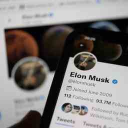 Musk folgt Umfrage und hebt Verbot von Twitter Konten von Journalisten