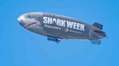 Shark Week nicht vielfaeltig genug – Studie — World