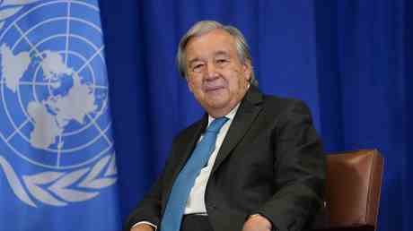 UN Chef aeussert sich zur Erweiterung des Sicherheitsrates — World