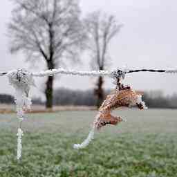 Wettervorhersage Kalt und sonnig abends kann es glatt werden