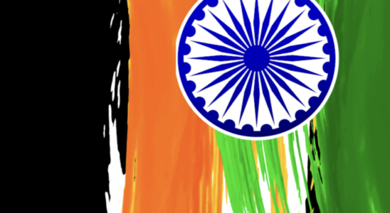 BharOS 6 Schluesselfragen zu Indiens „hausgemachtem mobilem Betriebssystem beantwortet
