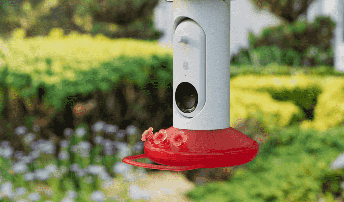 Bird Buddys neuer intelligenter Futterspender fuer Kolibris kann 350 verschiedene