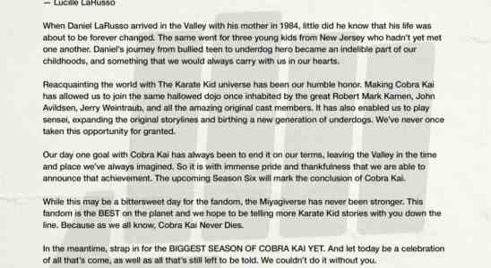 Cobra Kai Creators planen weitere Karate Kid Spinoff Stories