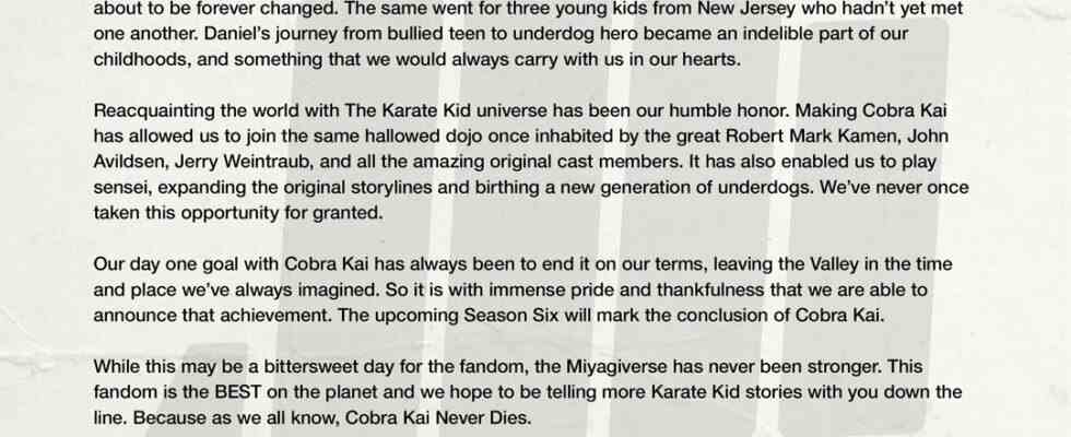 Cobra Kai Creators planen weitere Karate Kid Spinoff Stories