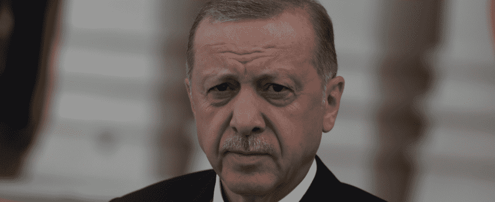 Erdogan kuendigt Wahlen in der Tuerkei fuer den 14 Mai