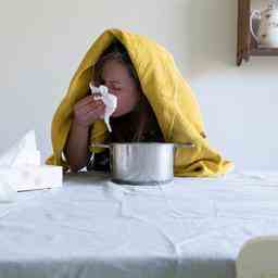 Grippe und Erkaeltung regieren noch immer Welche Mittel wirken wirklich