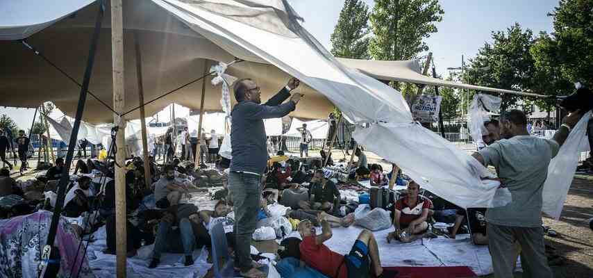 Inspektorat zur Situation Ter Apel „Wir konnten nicht mehr tun