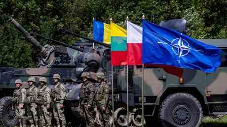 NATO Mitgliedsstaat erwaegt „Stellvertreterkrieg gegen Russland — World