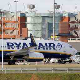 Ryanair wegen Nachhaltigkeitsbehauptung von ACM geruegt Wirtschaft