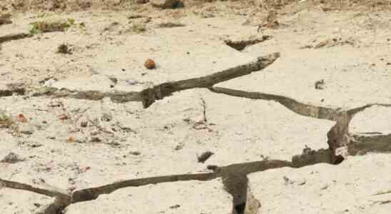 Tiefes Erdbeben der Staerke 61 erschuettert Ostindonesien keine bekannten Schaeden